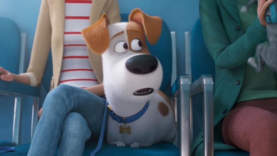 Secret Life Pets 2.jpg
